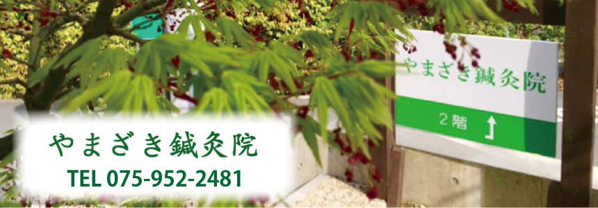 �g�b�v�C���[�W�ʐ^